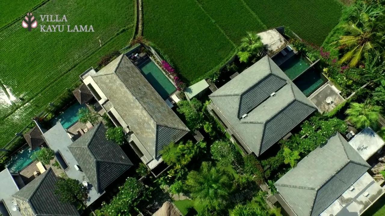 Villa Kayu Lama Ουμπούντ Εξωτερικό φωτογραφία